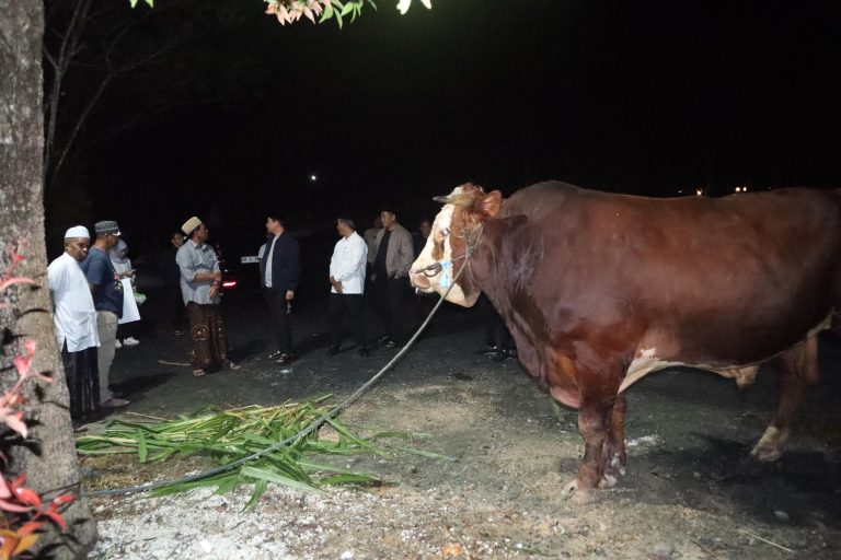 WhatsApp-Image-2025-06-06-at-05.04.22-768x512